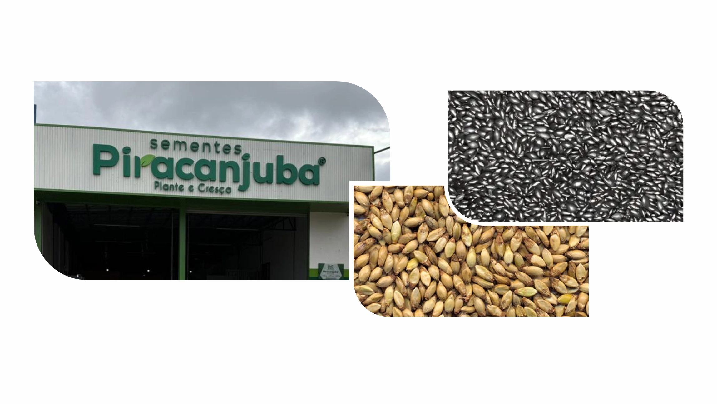 Campo de Agronegócio