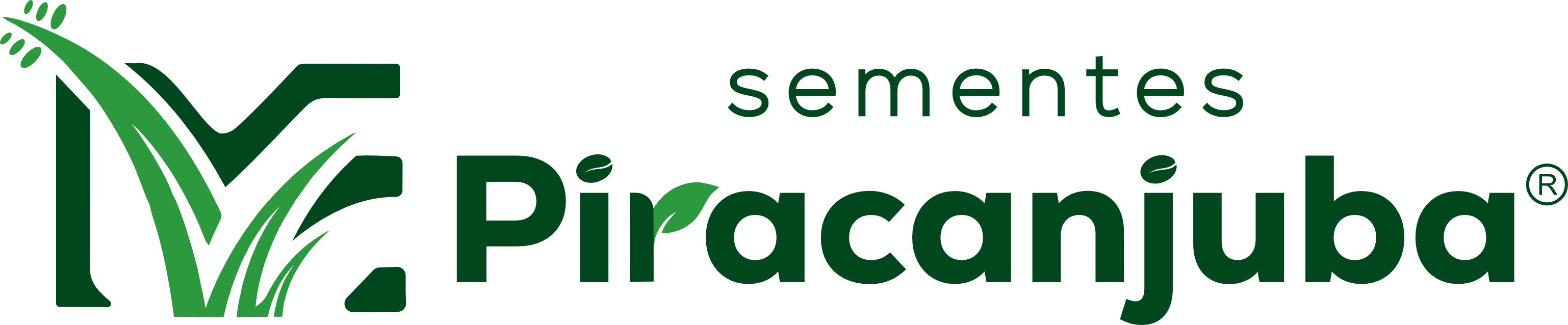 Sementes Piracanjuba